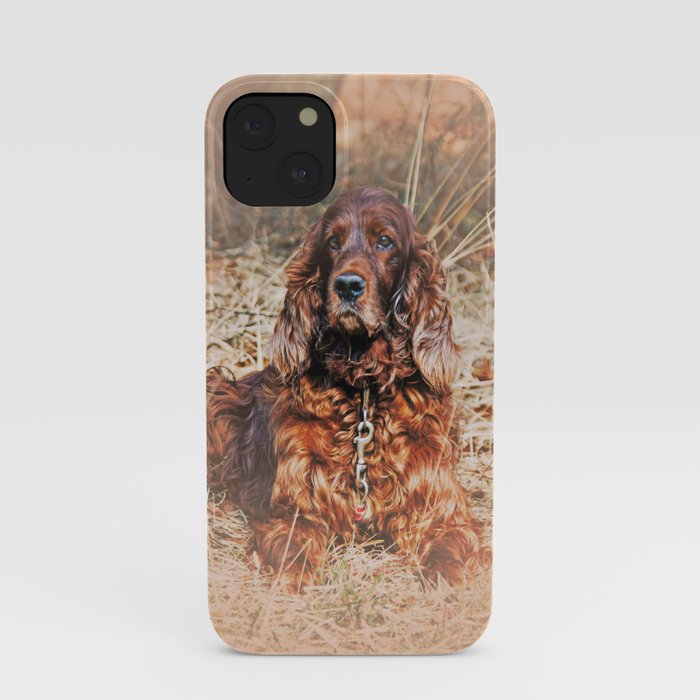 Red setter iPhone Case
