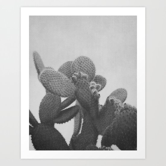 BLACK AND WHITE CACTUS Art Print