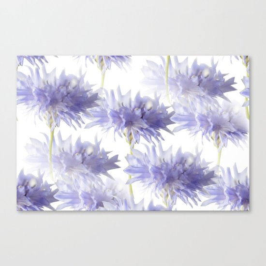 Pale Blue Cornflowers Canvas Print