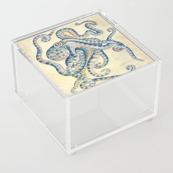 Blue Octopus Acrylic Box