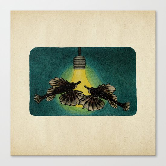 Sea Moths Canvas Print