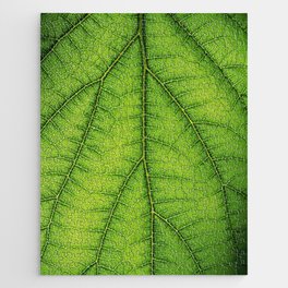 Macro Green leaf 5 Jigsaw Puzzle