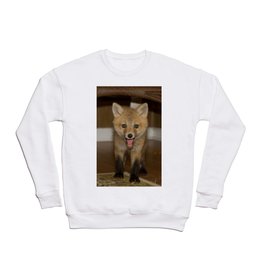 Barkley the Red Fox Crewneck Sweatshirt
