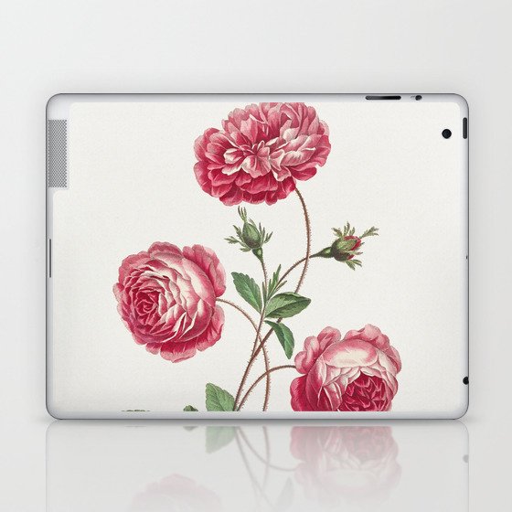 Provence Rose Laptop & iPad Skin