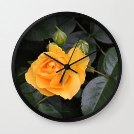A Rose Named "Julia Child" Wall Clock