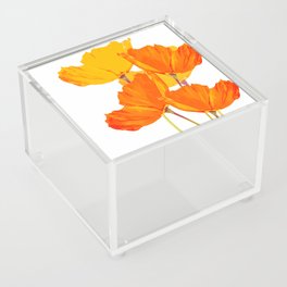 Orange and Yellow Poppies On A White Background #decor #society6 #buyart Acrylic Box