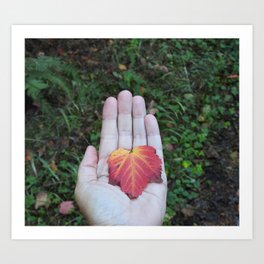 Autumn leaves 2 Art Print
