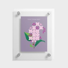 Lilac Floating Acrylic Print