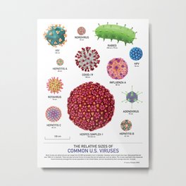 The Relative Sizes of Common U.S. Viruses Metal Print