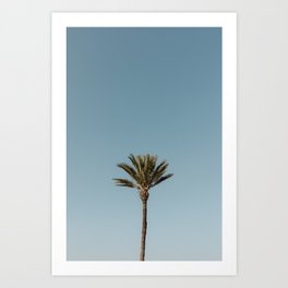 Travel photography Ibiza "Palmtree" | Fine Art Photo Print | Modern wall art | Pastel poster Spain Art Print