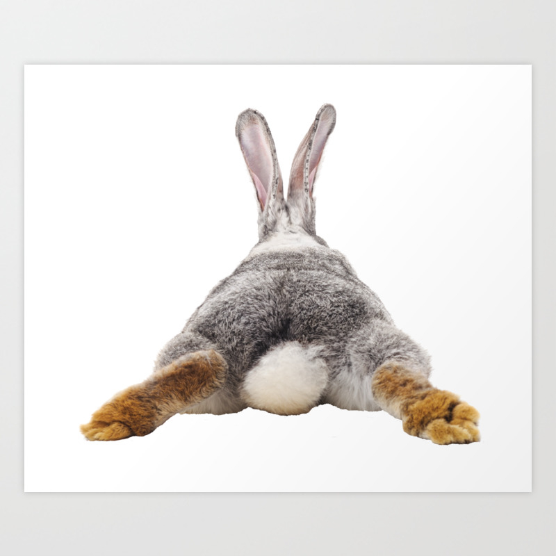 Cute Bunny Rabbit Tail Butt Image Easter Animal Art Print by  ColorFlowCreations | Society6