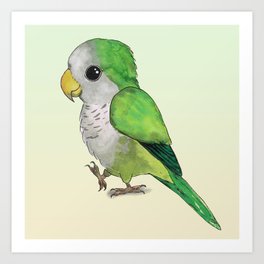 Very cute green parrot Art Print