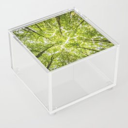 Once more into the forest Acrylic Box