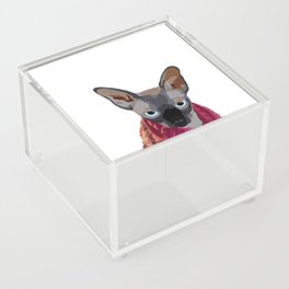 Dante the Sphynx Cat Acrylic Box