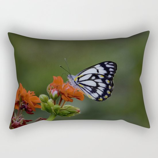 Butterfly Rectangular Pillow