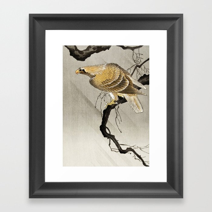 Ohara Koson, Golden Eagle Sitting On The Tree - Vintage Japanese Woodblock Print Framed Art Print