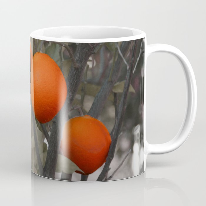 Three oranges on an orange tree Coffee Mug