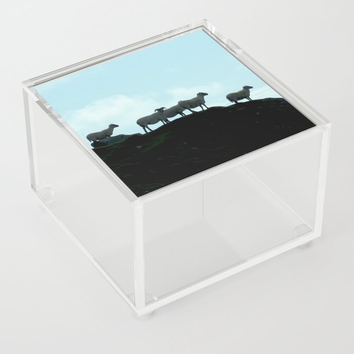 Galway Sheep Acrylic Box
