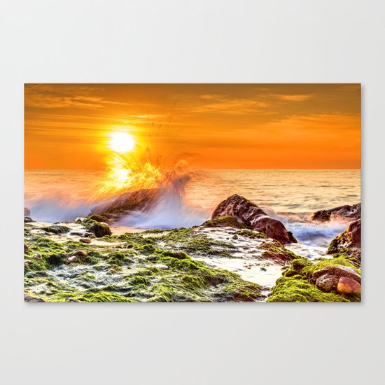 Beauty nature XIV Canvas Print