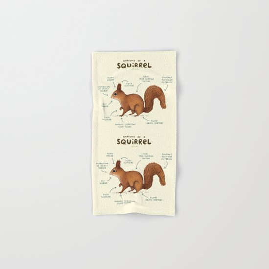Anatomy of a Squirrel Hand & Bath Towel