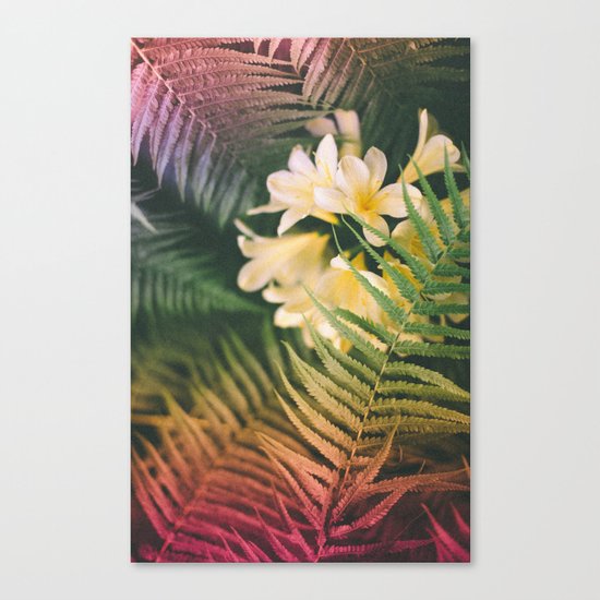 Jolly Jane Canvas Print