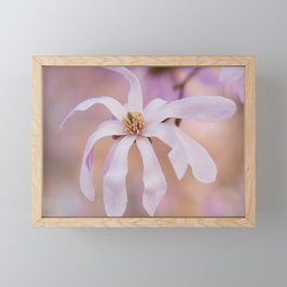 Petals Framed Mini Art Print