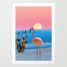 Flamingo in the Desert Art Print