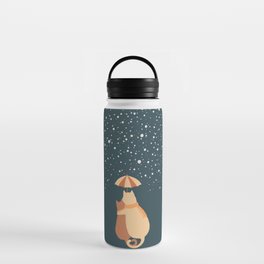 Hidden cat 66b silent night Water Bottle