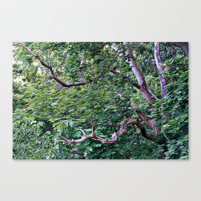 An Old Branch Canvas Print