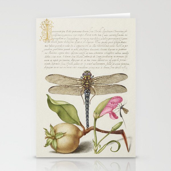 Calligraphic art with Dragonfly and fruit Stationery Cards