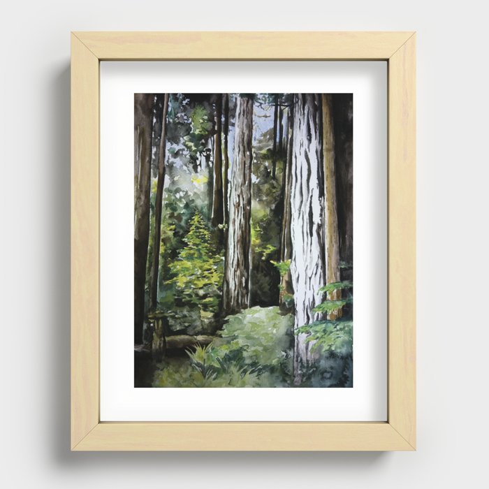Pacific Northwest Rainforest Recessed Framed Print