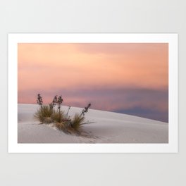 White Sand at Sunset Art Print