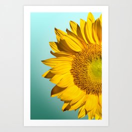 sunflowers floral photography Art Print