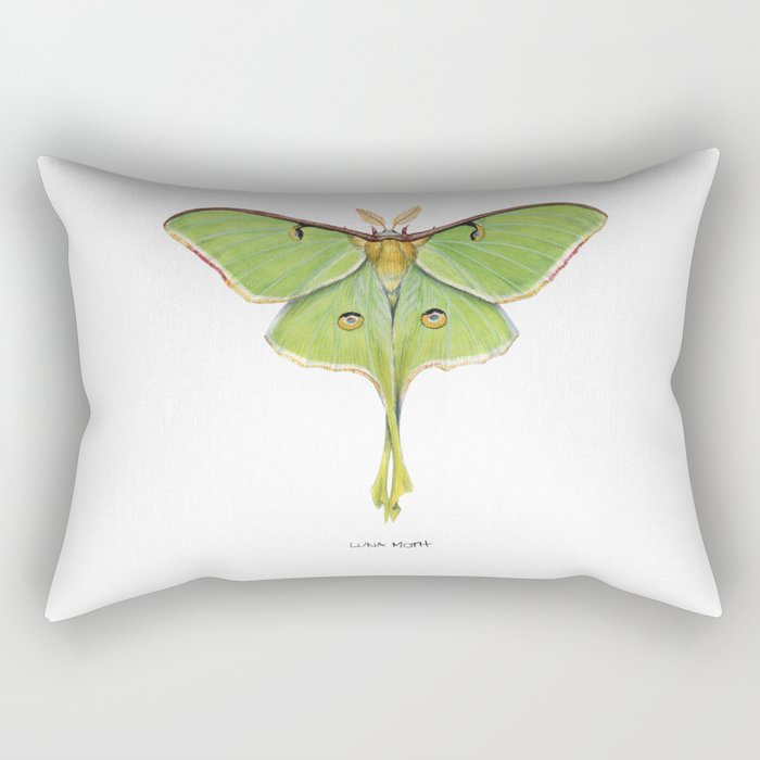Rectangular Pillow