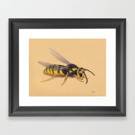 Wasp by Lars Furtwaengler | Colored Pencil / Pastel Pencil | 2011 Framed Art Print
