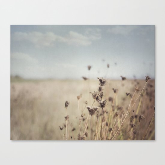 Fall Field Canvas Print