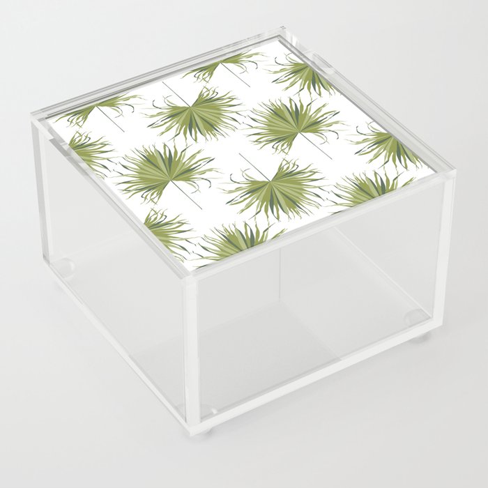 Sabal Minor Palm Leaf Acrylic Box