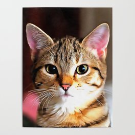 Artistic Tabby Cat Kitten Portrait Poster