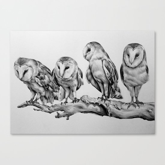 Barn Owls Canvas Print