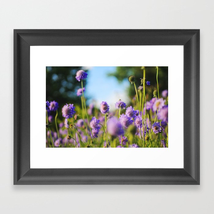 Purple delish - Flowers in a field Framed Art Print