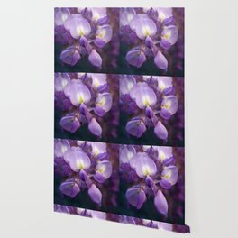 Single Stem Of Wisteria Vine Flower Close Up Photography Wallpaper