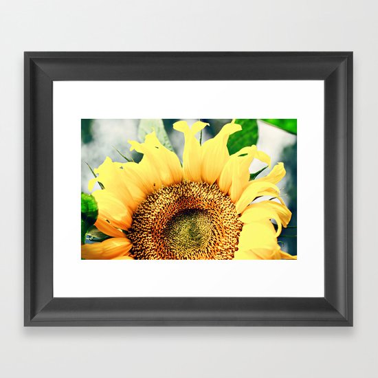 Sunflower's better half Framed Art Print