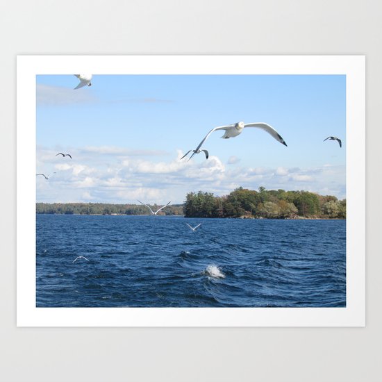 The Seagull Chase Art Print