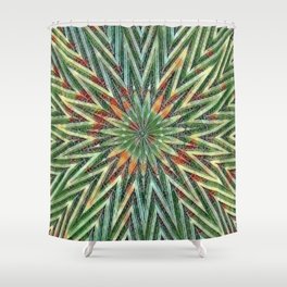 Society6
