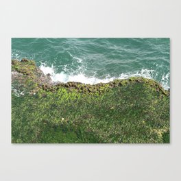 Vitamin sea shore moss waves blue green contrast Canvas Print