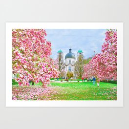 Cherry Blossom in Salzburg Austria Art Print