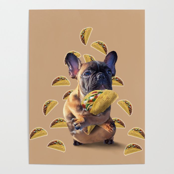 French Bulldog Dog Dogs Eating Taco Tacos, Funny Cute Poster