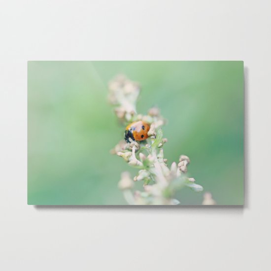 Enchanted Lady Metal Print