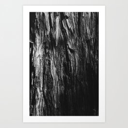 the redwood sleeps beneath the shade (b/w version) Art Print