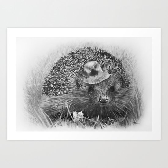 Hedgehog Art Print